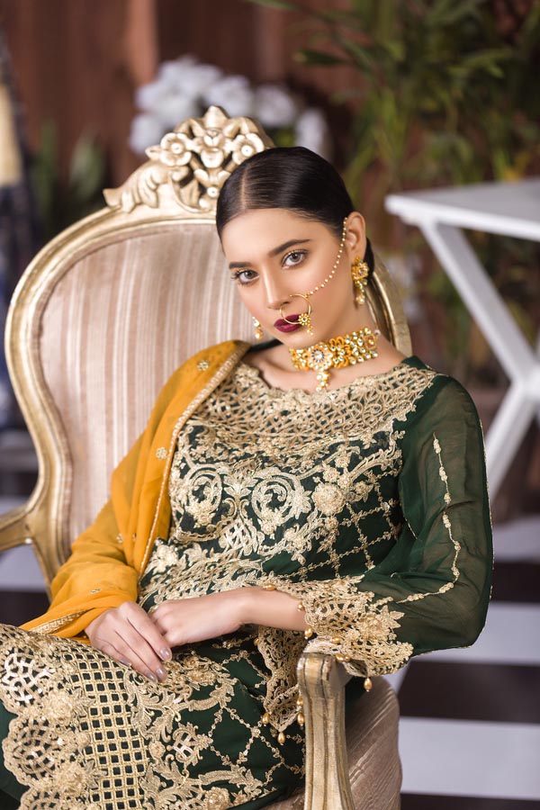 Spring Lime - Luxury Embroidered Chiffon