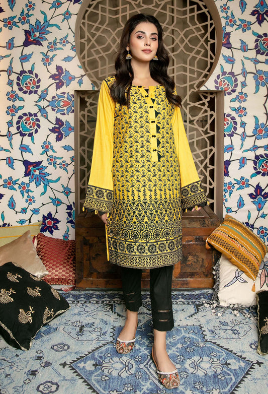 Dijon - Embroidered Chikankari Stitched Kurti