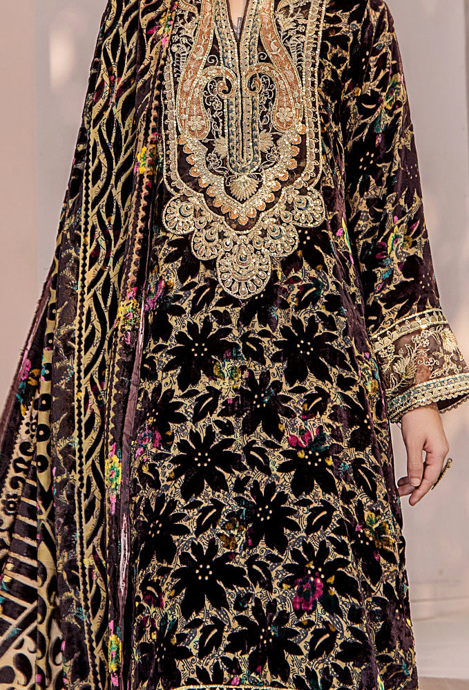 Plachi Velvet Edit (Design-1)