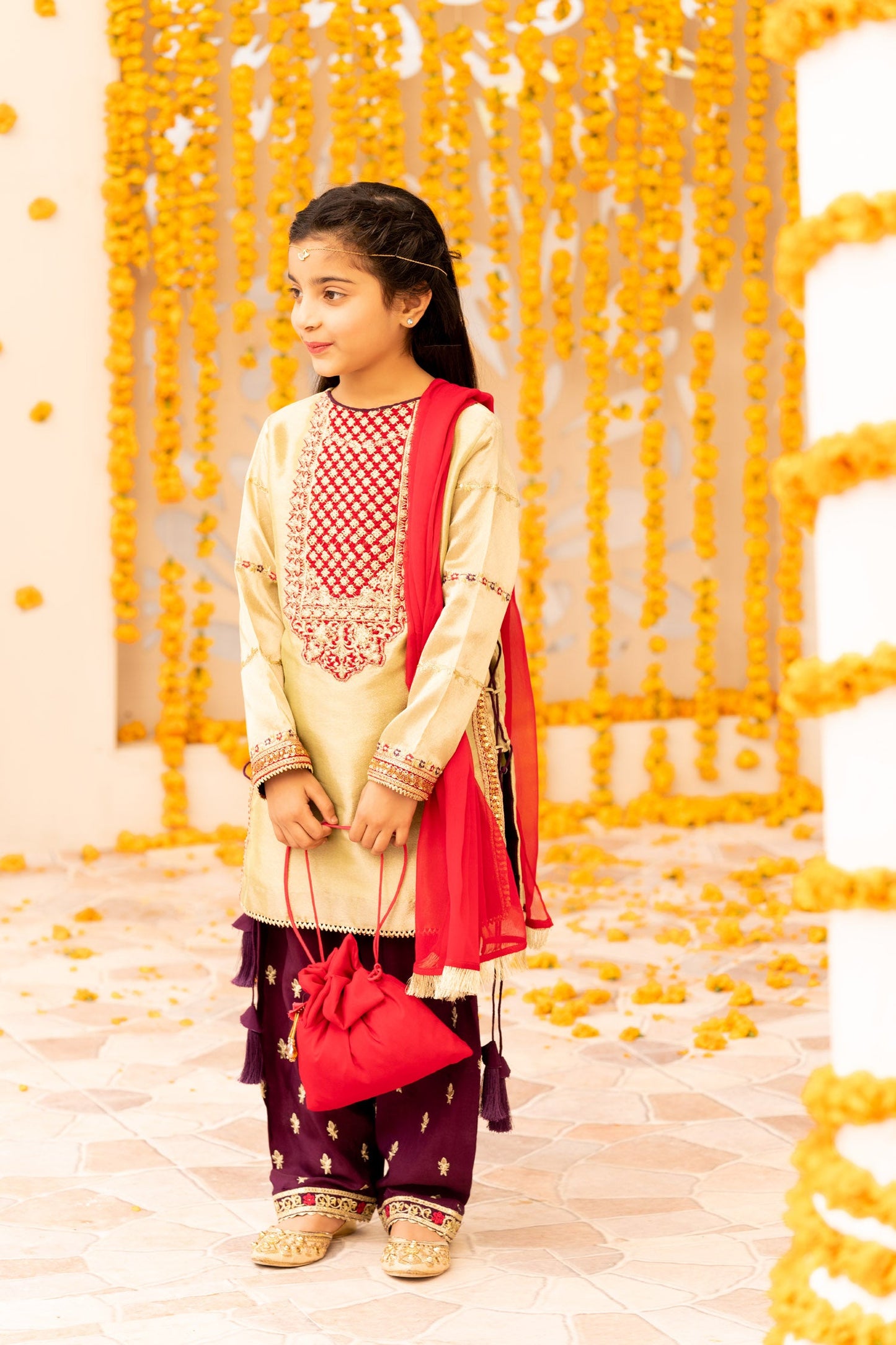 Embroidered Banarasi Suit