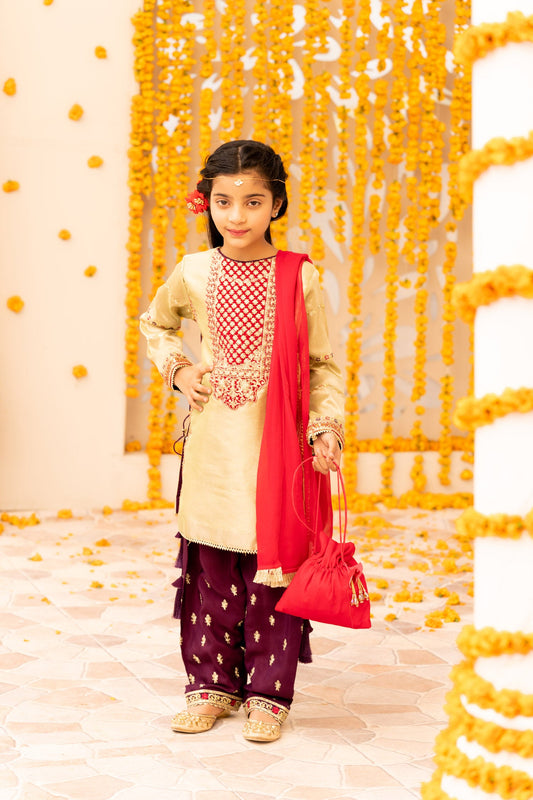 Embroidered Banarasi Suit