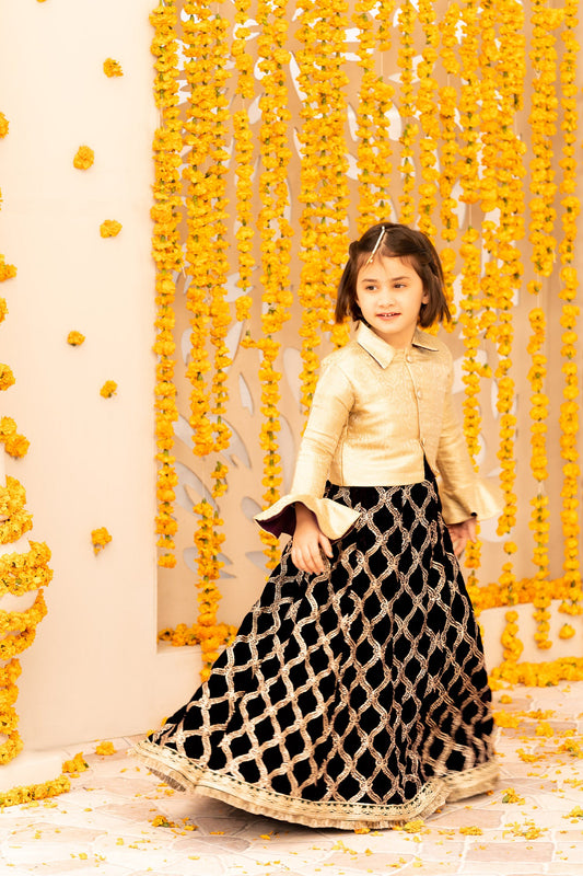 Embroidered Velvet Lehenga