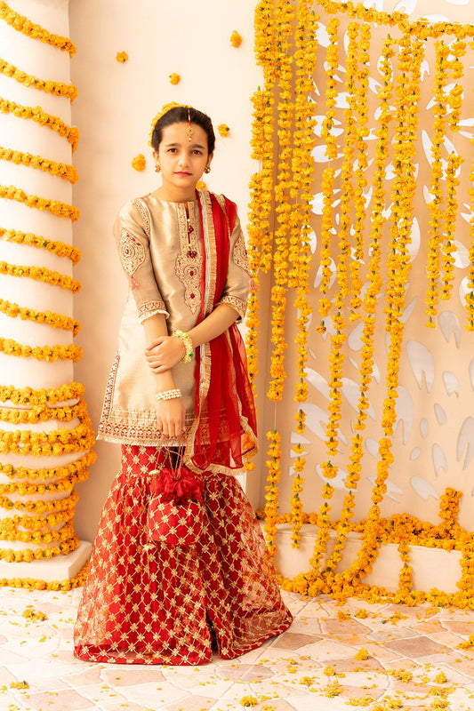 Embroidered Banarasi Suit