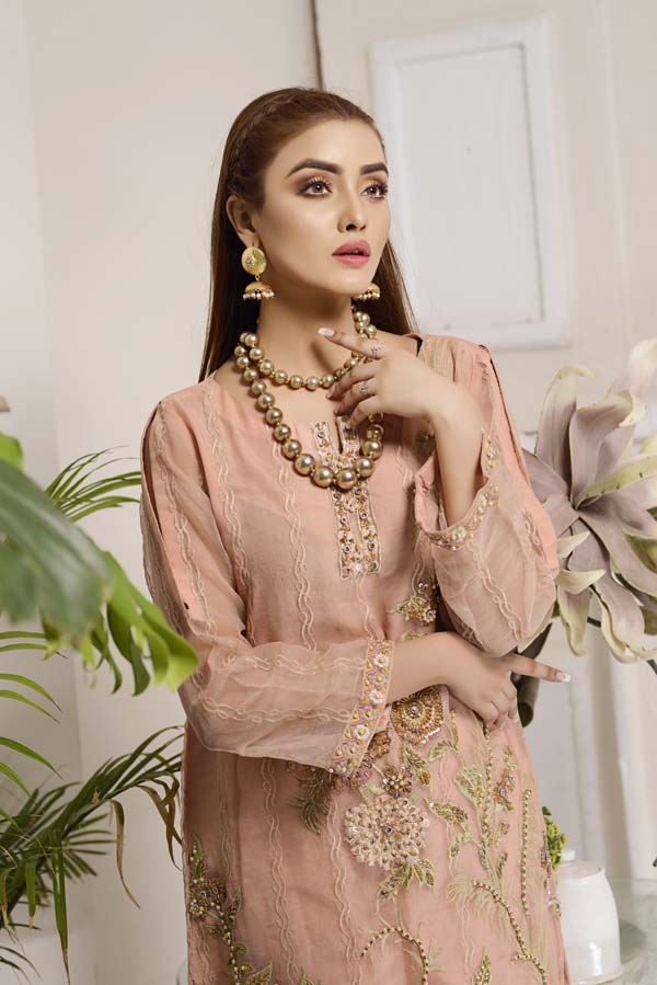 Eunry - Hand Embellished Embroidered Organza 2 Piece