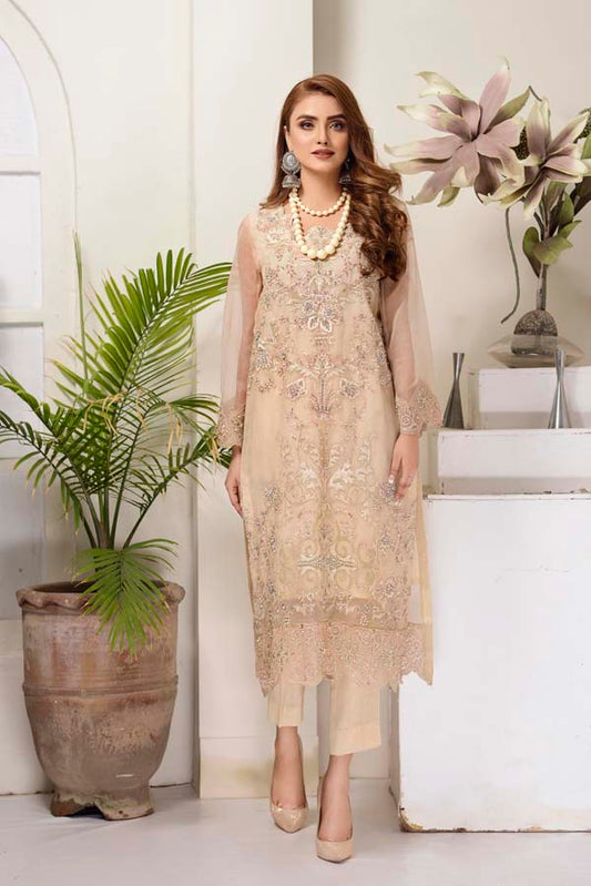 Cashmere - Hand Embellished Embroidered Organza 2 Piece