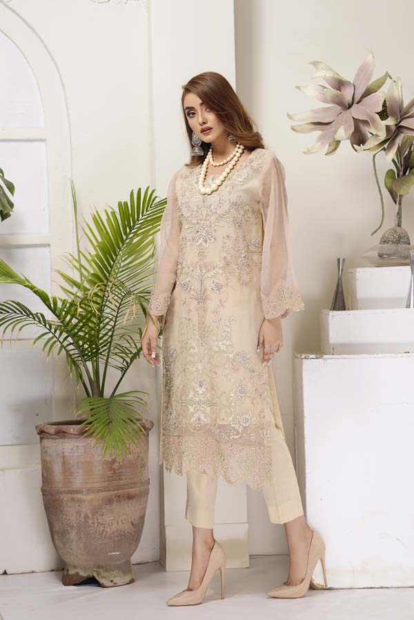 Cashmere - Hand Embellished Embroidered Organza 2 Piece