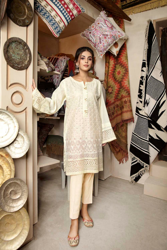 Pale Smoke - Embroidered Chikankari Stitched Kurti
