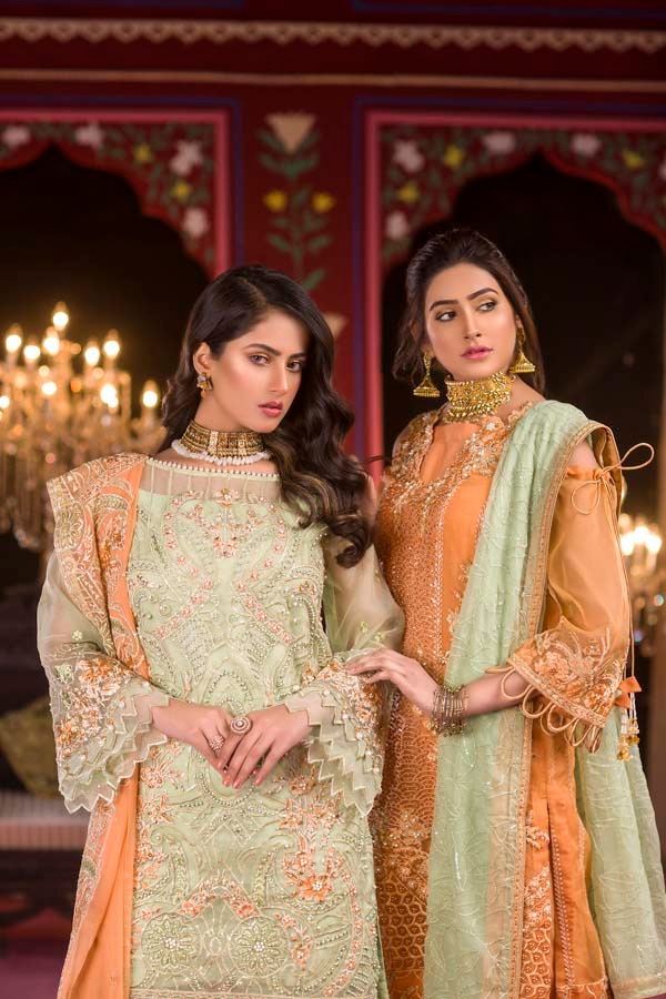 Aashiyana - Luxury Embroidered & Hand Embellished Organza