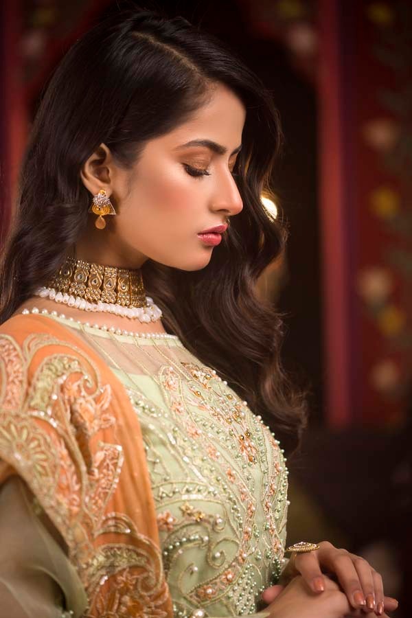Aashiyana - Luxury Embroidered & Hand Embellished Organza