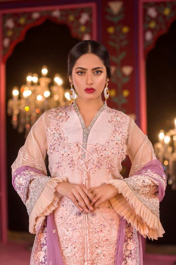 Aashnaa - Luxury Embroidered & Hand Embellished Organza